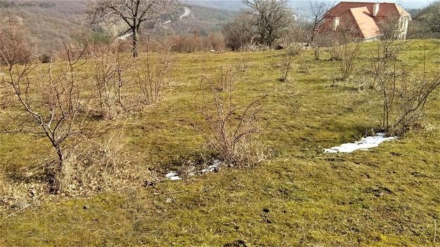 Продам зем.уч. 7 сот под застройку Изобильное Алушта Крым