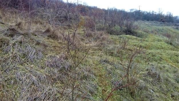 Продам зем. участок 10 сот под застройку Нижняя Кутузовка Алушта Крым