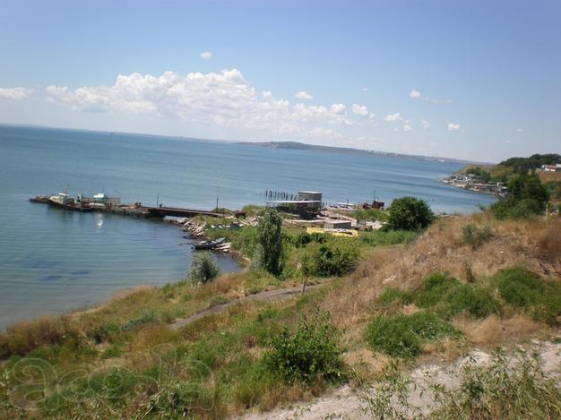 Мидийное хозяйство в Крыму (Керчь)