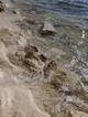 Продам земельный участок возле моря под строительство жилого дома