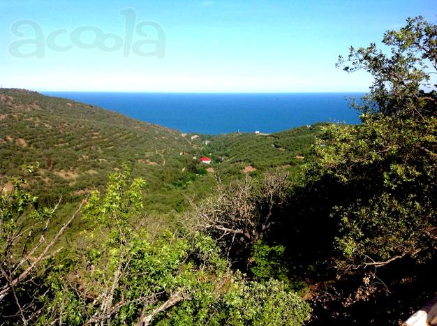 Земельный участок Крым, Алуштинский р-н, п. Семидворье