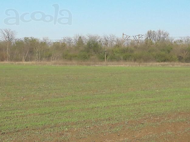Участок в Крыму 174 сотки